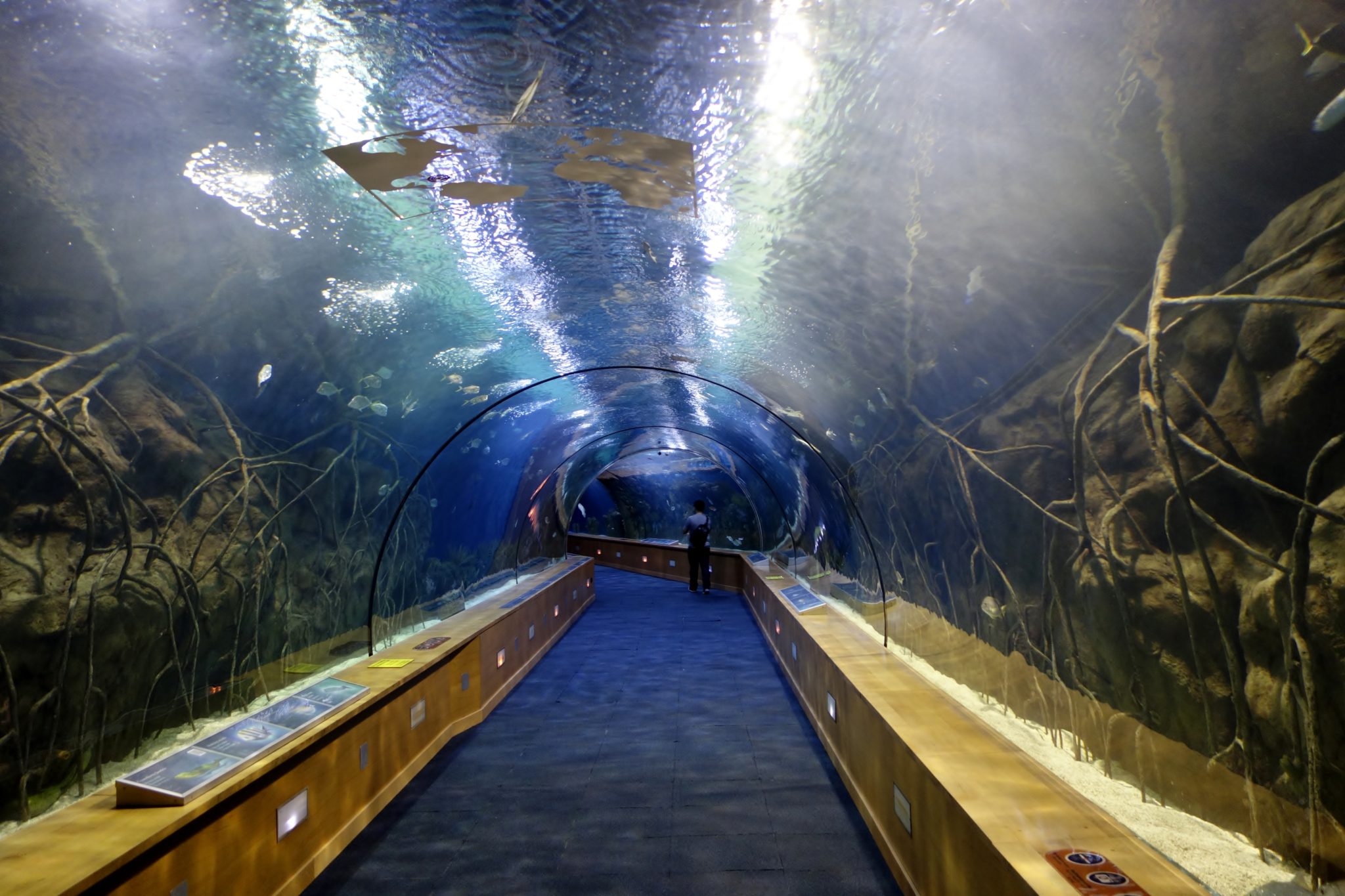 top 10 oceanarium