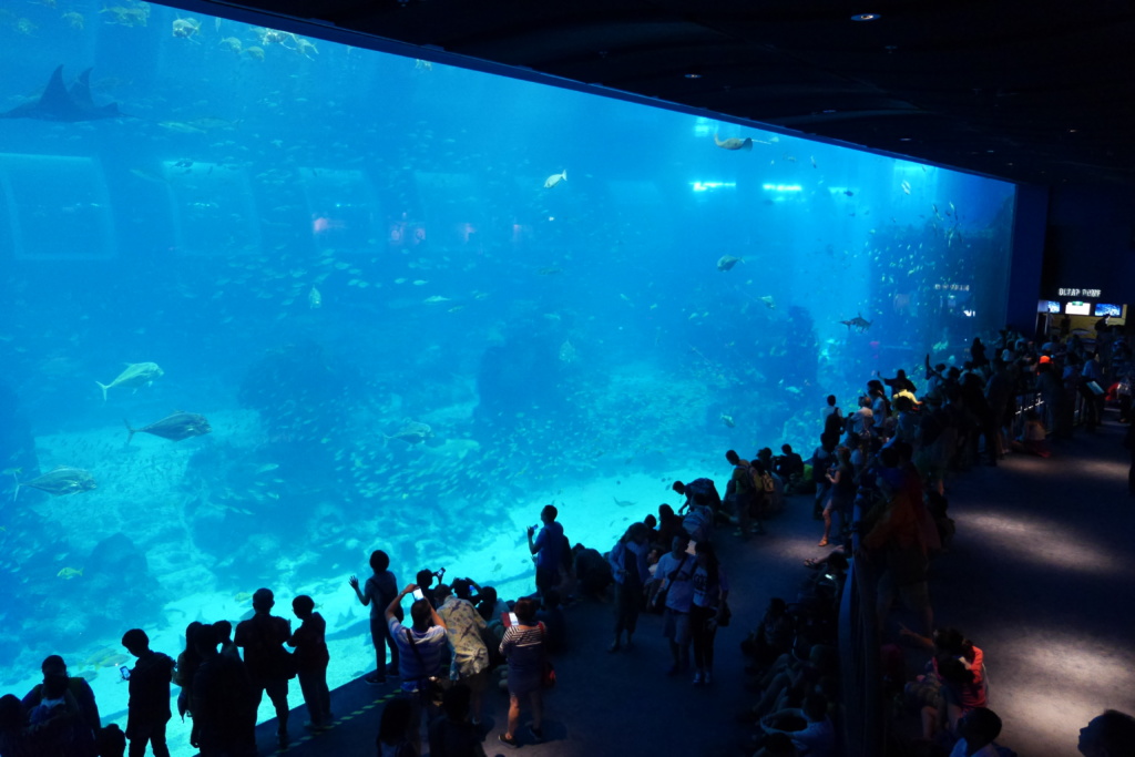 10 Largest Aquariums in the World (+Photos) - Touropia