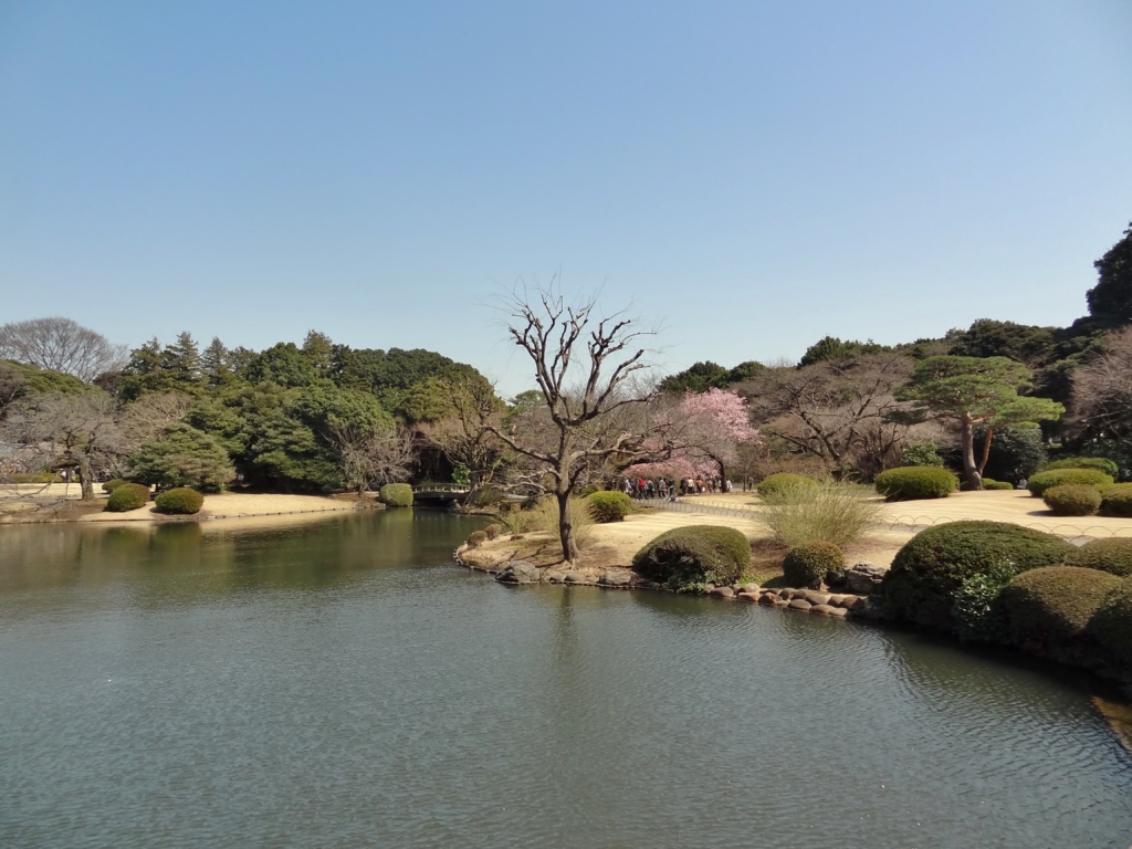 Things to do in Tokyo | Best Cities | No. 15: Tokyo | Shinjuku Gyoen National Garden
