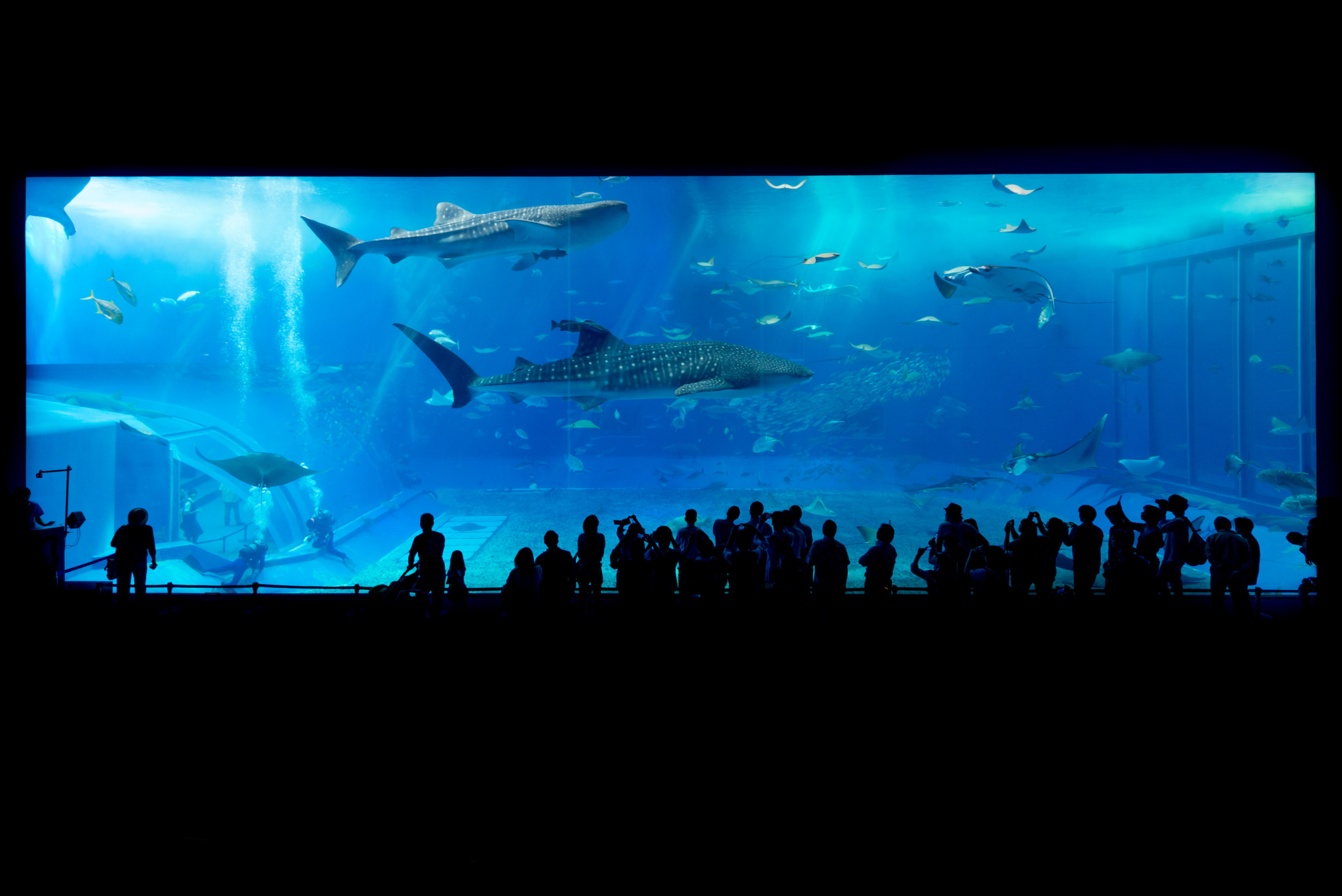 Largest And Best Aquariums In The World 2021 Top 10 Aquariums