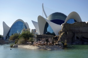 Best Aquariums Europe (Top 10)