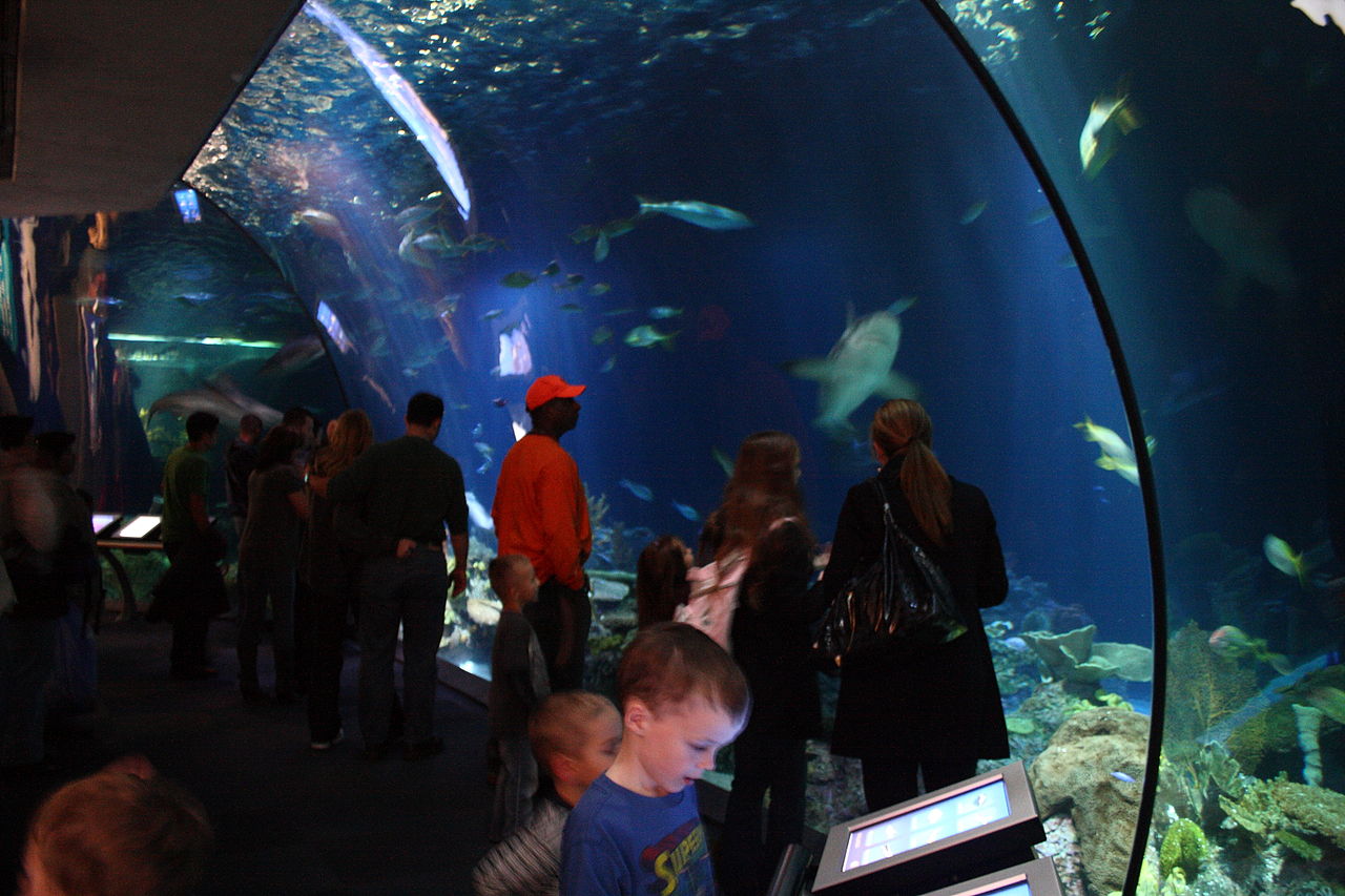 10 of the World's Most Impressive Aquariums