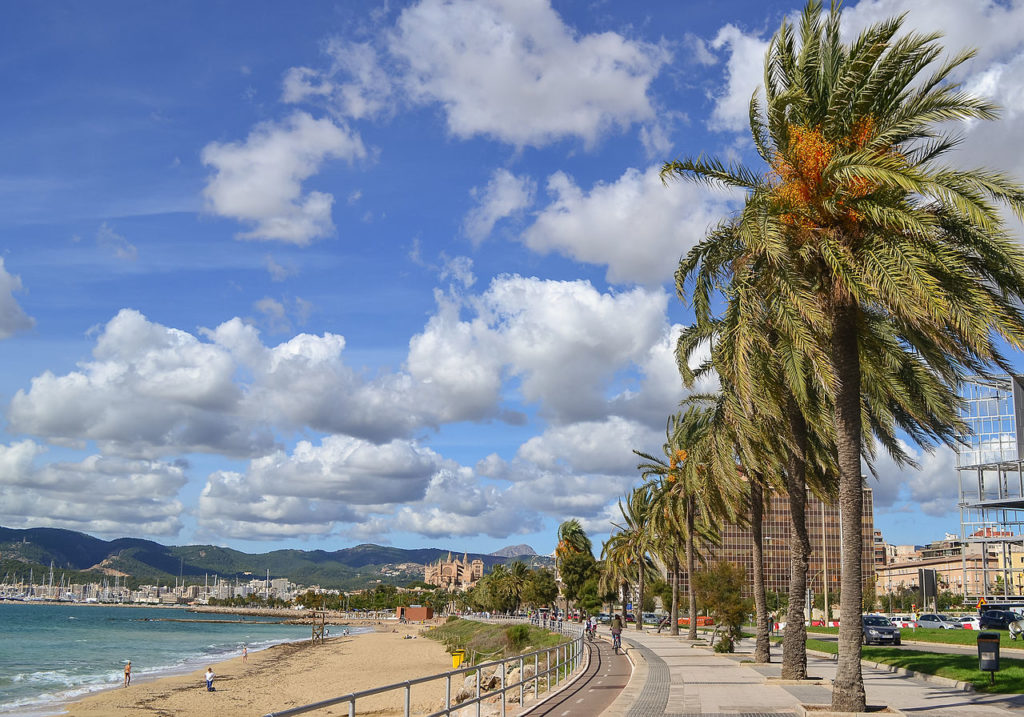 Best Cities in the World | No. 67: Palma | Best Things to do in Palma | Seaside Promenade Palma
