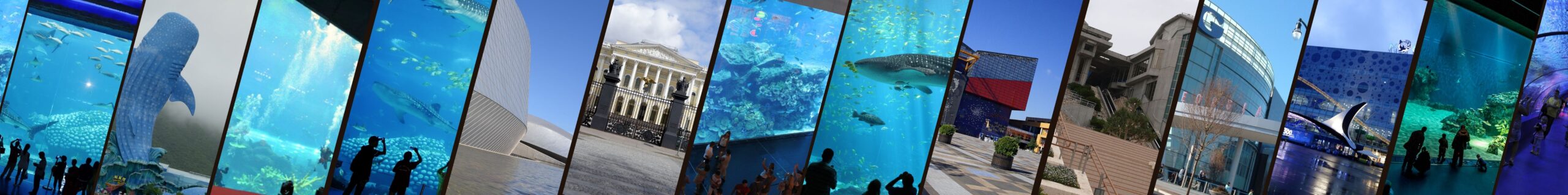 Aquariums No Text Scaled 